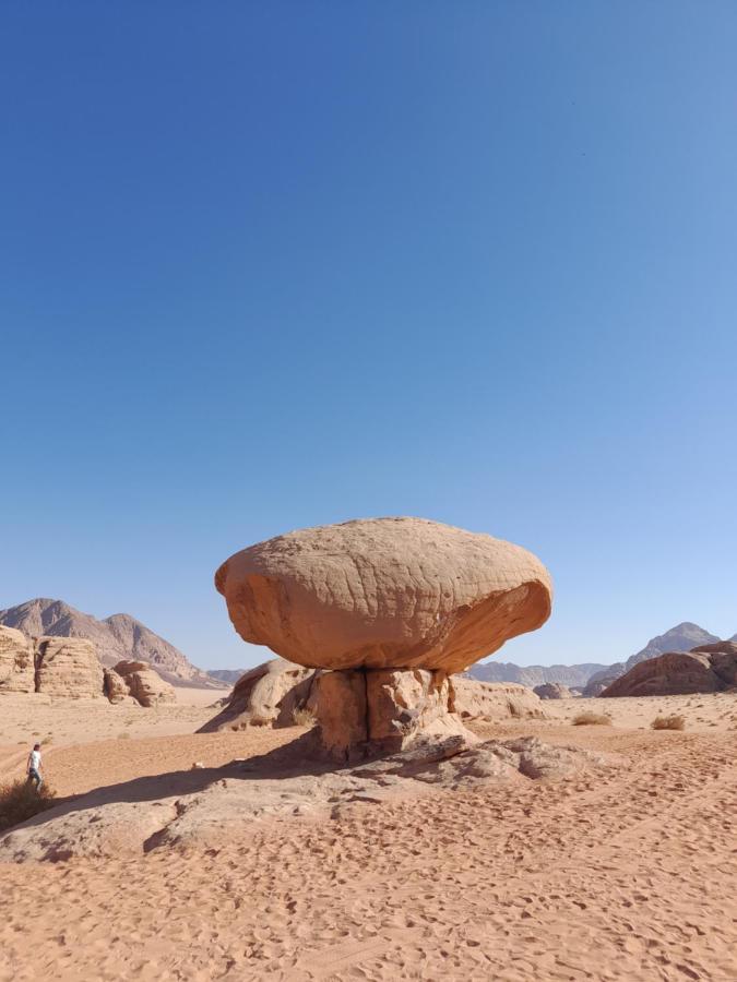 Wadi Rum Camels Camp Exterior foto