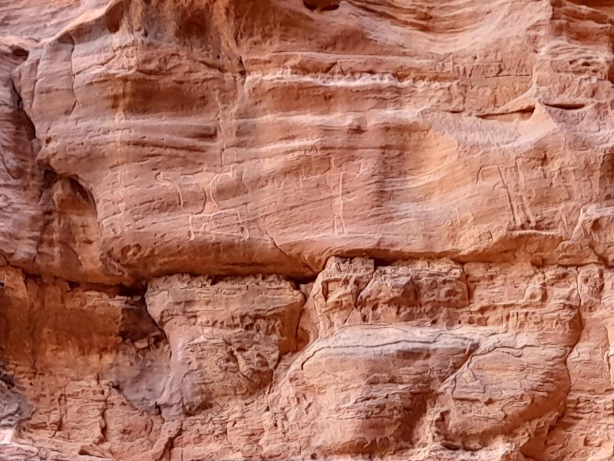 Wadi Rum Camels Camp Exterior foto